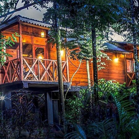 Vythiri Wood House Wayanad Villa Ngoại thất bức ảnh