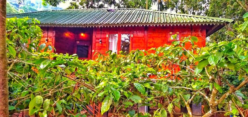Vythiri Wood House Wayanad Villa Ngoại thất bức ảnh