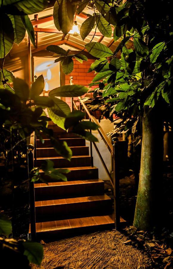 Vythiri Wood House Wayanad Villa Ngoại thất bức ảnh